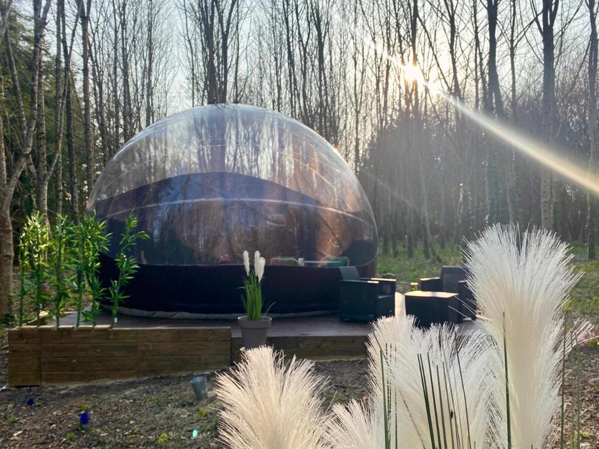 Logement Insolite "Bubble Jungle" Saint-Évarzec Exteriér fotografie