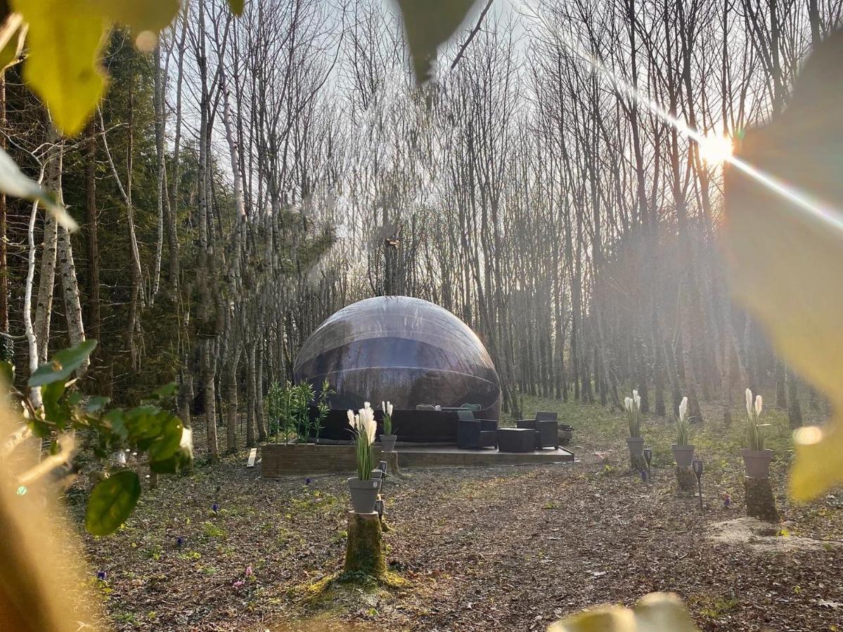 Logement Insolite "Bubble Jungle" Saint-Évarzec Exteriér fotografie